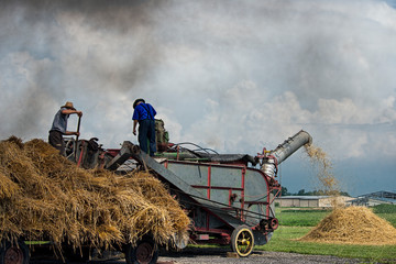 Wall Mural - Feeding the Threshing Machine