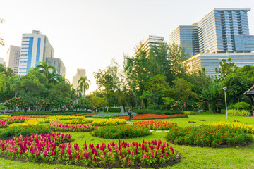 city public park with modern building lumpini park