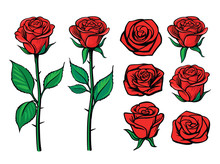 Rose Flower Set. Floral Decoration, Valentine Greeting Card