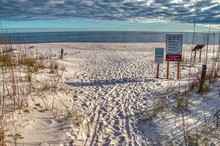 Perdido Key State Park Is In The Panhandle Of Florida