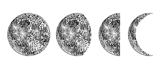 Wall Mural - realistic moon phases image on white background. hand drawn cycle of moon phases. vector