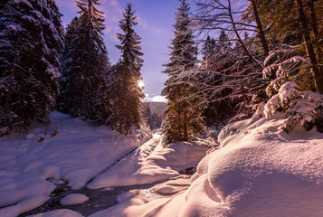 Fantastic winter forest landscape in the sunset. Icy snowy fir trees glowin in sunlight. winter holiday concept. travel day. wonderland in winter. instagram filter. retro style. creative image