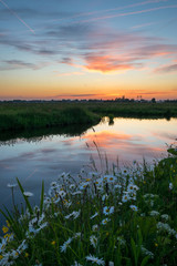 Wall Mural - reflections of colorful clouds in the water of a canal in the dutch countryside with wildflowers in 