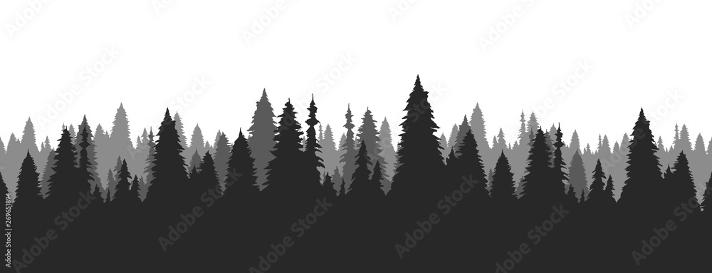 Hand drawn pine forest. Christmas banner template. - obrazy, fototapety, plakaty 
