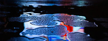 Wet Asphalt, Night Scene Of An Empty Street With A Little Reflection In The Water, The Night After The Rain. Abstract Dark Neon Background With A Wet Surface, Reflection, Neon, Glare, Blurred Bokeh.