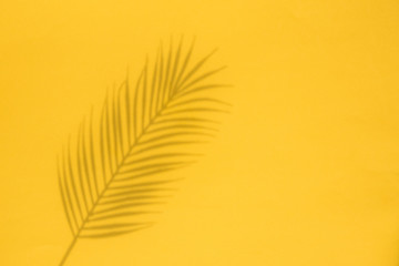 Wall Mural - Tropical palm tree leaf shadow on a yellow background. Summertime layout