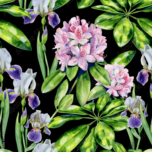 Tropical rhododendron flowers and iris seamless pattern watercolor. Interior ...