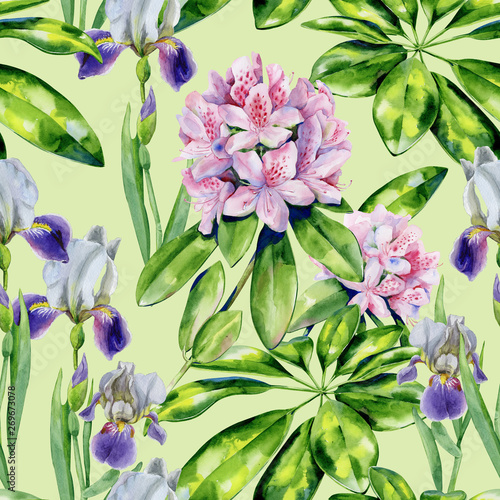 Tropical rhododendron flowers and iris seamless pattern watercolor. Interior ...
