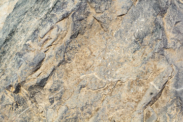 Texture of natural stone. Closeup