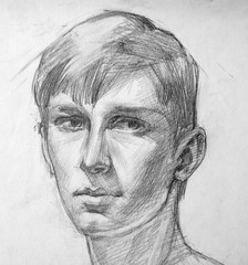 portrait, pencil drawing illustration, sketch