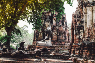 Wall Mural - Ancient Buddha statue,Wat Mahathai 22 May 2019 ,Phra Nakhon Si Ayutthaya Historical Park A historical park in Ayutthaya, Thailand