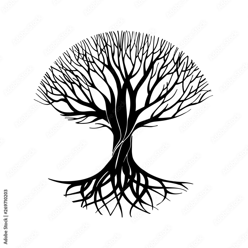 Tree silhouette circle symbol, sign, logo, emblem, icon. Hand drawn tree stylized, vector illustration. - obrazy, fototapety, plakaty 