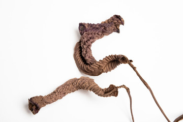 A close-up look at the form, shape and texture of two dried brown leaves set artistically as fine art composed image on a plain white background.