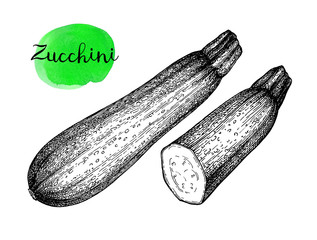 Canvas Print - ink sketch of zucchini.