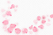 Pink sakura falling petals vector background