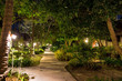 © Dmitry Dven - Night and empty footpath through the village in the jungle forest. Lots of greenery, wooden houses. Lamps from wood on long palm trees