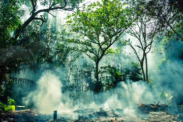 Fototapeta tajlandia wulkan roślina