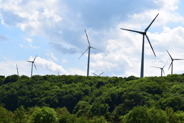 Poster - grüne Hügel mit Windkraftanlage