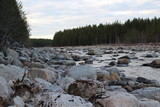 Fototapeta  - river in winter