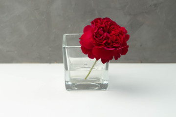 single red garden roses in glass vases wedding decoration on gray background