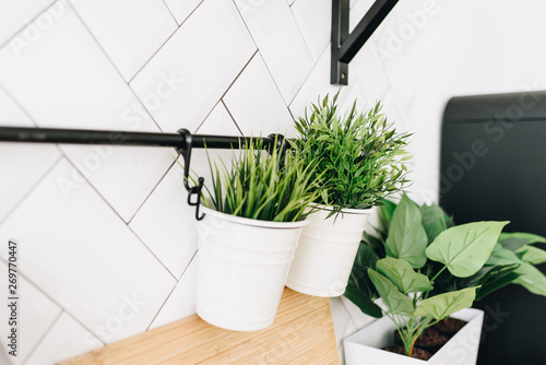 Modern Potted Hanging Evergreen Artificial Plants Used In Interior