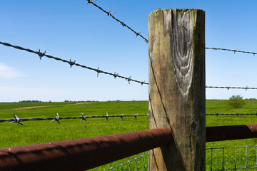 Wall Mural - Wooden fence post