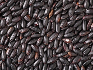 Wall Mural - black rice background