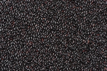 Wall Mural - black rice background