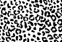 Black And White Leopard Skin Pattern For Background