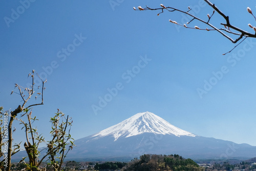Mount Fuji View From Lake Kawaguchi Yamanashi Prefecture Lake