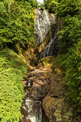 deep forest waterfall