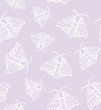 © Анастасия Рябоконь - Pastel lilac butterfly pattern vector