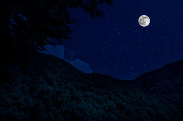 Wall Mural - mountain road through the forest on a full moon night. scenic night landscape of country road at nig