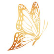 Golden butterfly hand-drawn illustration on a white background