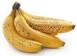canvas print picture - Spotted banana