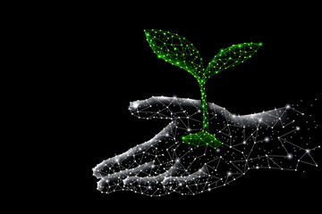 Abstract polygonal light design of growing sprout in human hand.