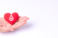 Woman Hands Holding Red Heart For Blood Donation,world Blood Donor Day. Copy Space For Advertisers.