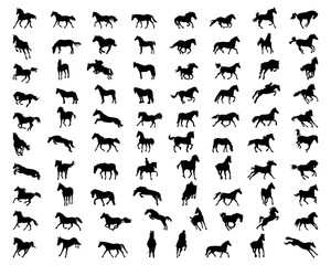 Black silhouettes of horses on a white background