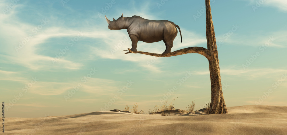 Lonely rhino on tree - obrazy, fototapety, plakaty 
