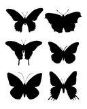 Fototapeta Pokój dzieciecy - Set of butterfly collection. Butterfly silhouette . Vector EPS 10.