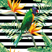 Parrots Exotic Floral Seamless Background