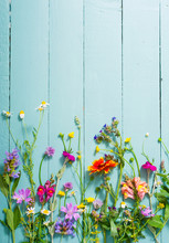 Herbal And Wildflowers On Blue Wooden Table Background