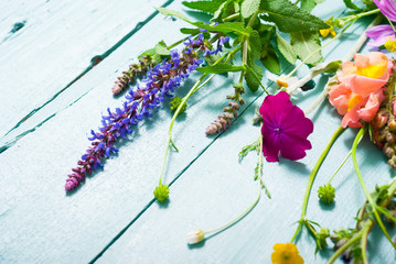 Wall Mural - herbal and wildflowers on blue wooden table background