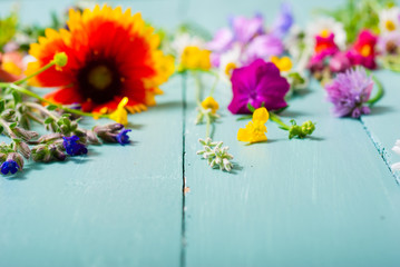 Wall Mural - herbal and wildflowers on blue wooden table background