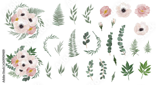Set of floral branch. Anemones, pink rose, green leaves. Floral poster, invit...