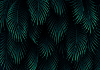 Wall Mural - branch palm realistic. leaves and branches of palm trees. tropical leaf background. green foliage, t