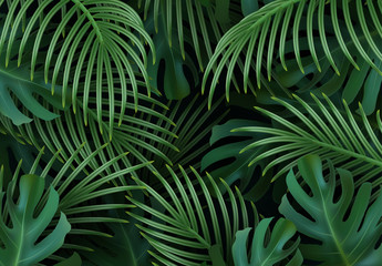Wall Mural - branch palm realistic. leaves and branches of palm trees. tropical leaf background. green foliage, t