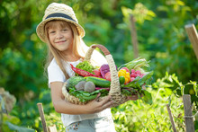 A Child With Vegetables In The Garden. 