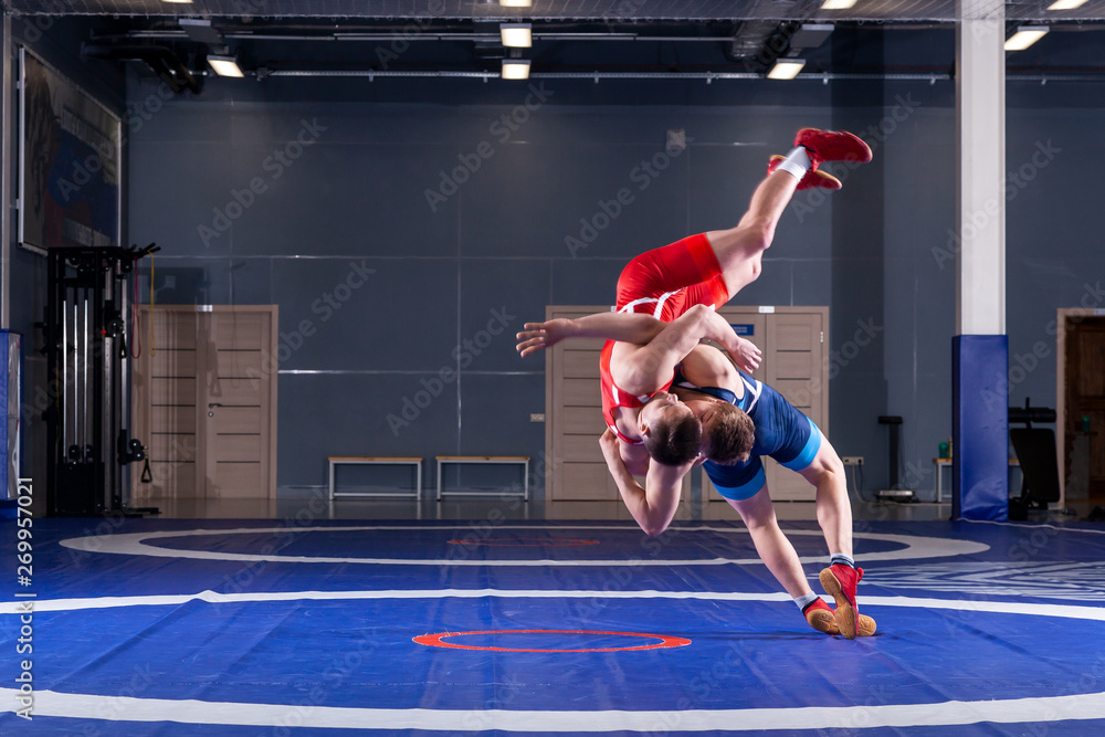 Two young men in blue and red wrestling tights are wrestlng and making a suplex wrestling on a yellow wrestling carpet in the gym. The concept of fair wrestling - obrazy, fototapety, plakaty 