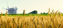 Panorama Windmill Of Agriculture Wheat Crop Field Summer Landscape